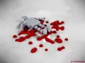 � ���� �����