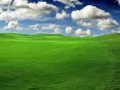 ������