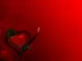 �����. ������ ������������� ������, ����� � �������� M-16