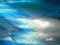 Celestian Exploring