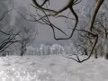 ����
