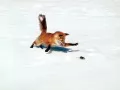 �����