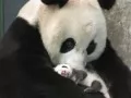 ����� � ��������