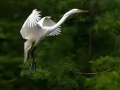 ������� � �����