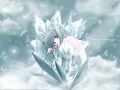 Flower of winter
