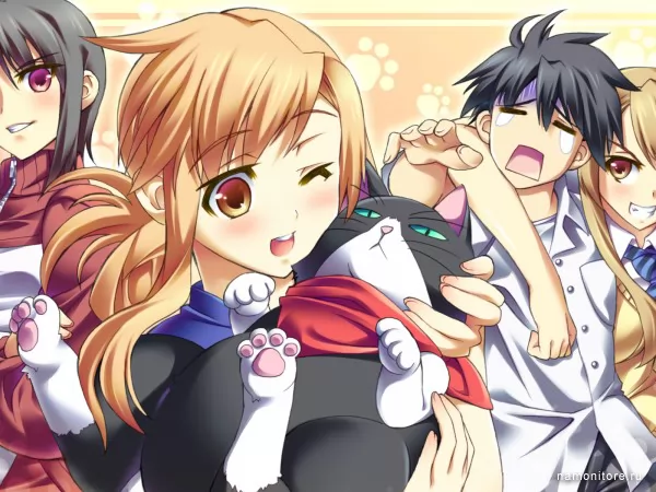 Best romantic anime english dub