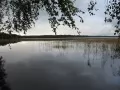 ���� ��� �������� �����: �������� �����