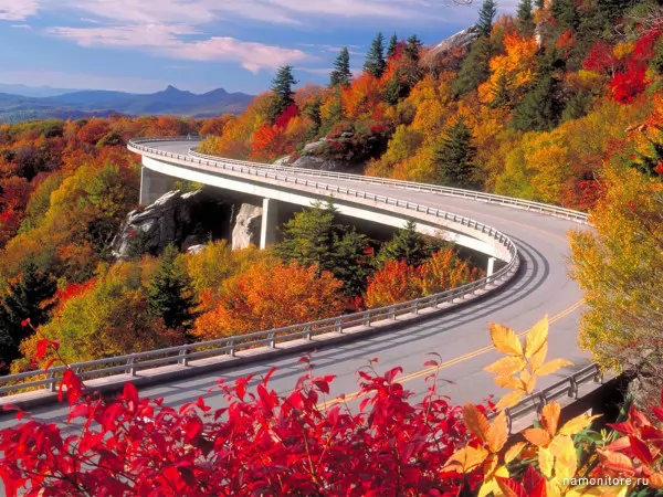 Road