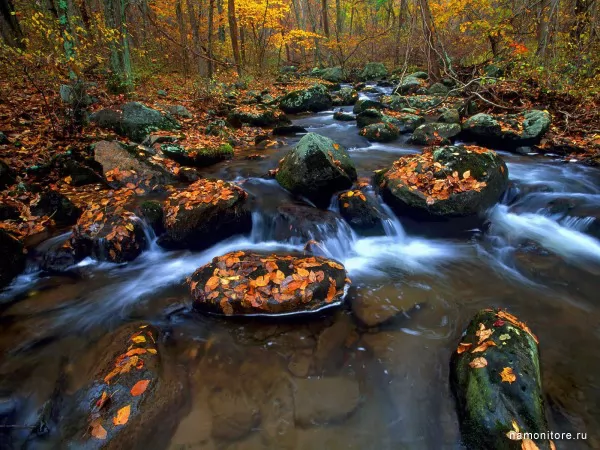 Virginia, Shenandoah