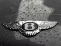 ������� Bentley � ������� ����