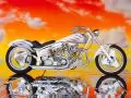 White Silver Custom Harley-Davidson