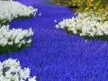 Букеты