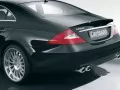 ׸���� Carlsson Ck55