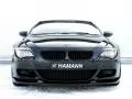 Hamman BMW