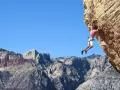 ����� �� �����