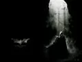 ������: ������ [Batman Begins]