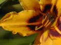 �����