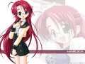 Munekyun! Haato de koi shiteru
