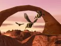 Impossible Creatures