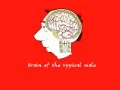 Brain of the topical male