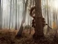 ����ϸ� ��� ������ �� ����� � ���� ����������