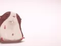 ������� �����