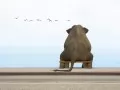 ���� ��� �������� �����: ����� �� ��������� � ��������� ������
