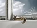 ������� ����