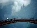 ���� ����� ������