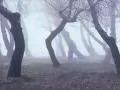 ���� ��� �������� �����: ������� ��������
