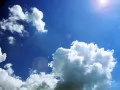 ��������� �����������: �������� ����