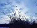 ����� � ����� �������� ����