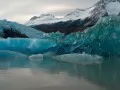 ������