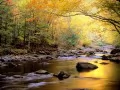 ��������. Golden Waters, Great Smoky Mountains Nat