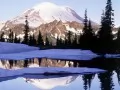���������. Cool Reflections, Tipsoo Lake