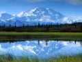 ������. Denali National Park