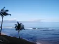 ������ � ����