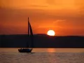 ��������� �����������: ���������