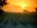 ����������. Napa Valley