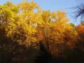 ������������ �������