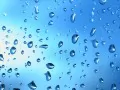 �������� �� ������