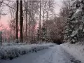 ���� ��� �������� �����: ��������� ������ �����
