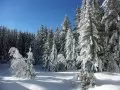 ���� ��� �������� �����: ��������� ���