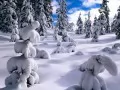 ������ ������