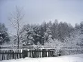 �����