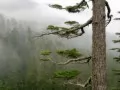 ���� ��� �������� �����: �������� ������
