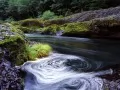 ������. Swirling Eddy, Clackamas River
