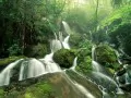 ��������. Great Smoky Mountains National Park