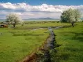 ������. Ruby Valley