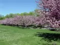 ����� � ������� ������